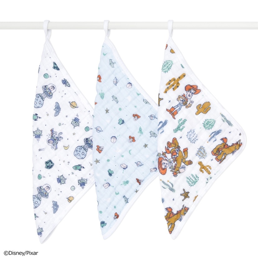 ウォッシュクロス/トイストーリー/3枚